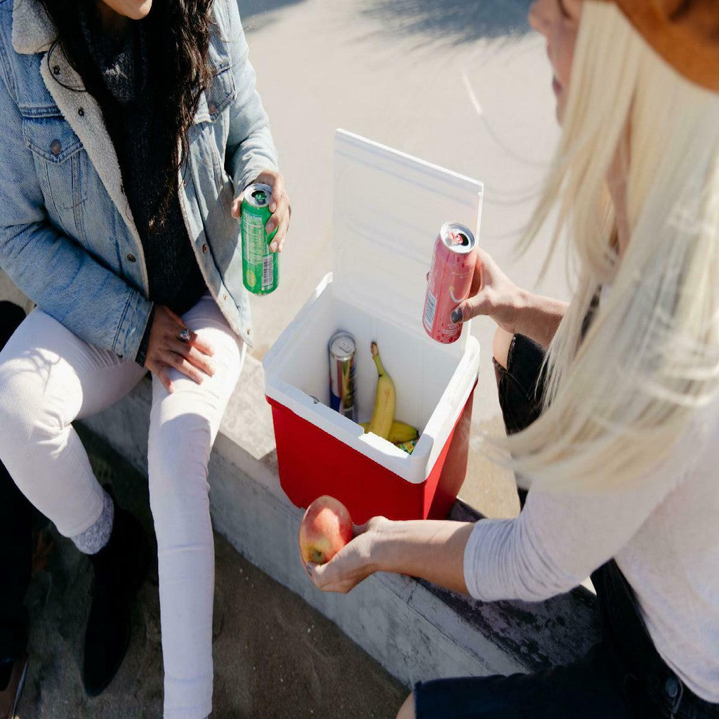 IGLOO LAGUNA 9 Cooler Box