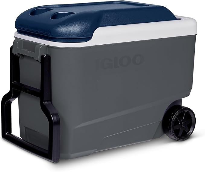 IGLOO Maxcold 40 Roller | 40 Quarts | 38 Liters | 56 Cans