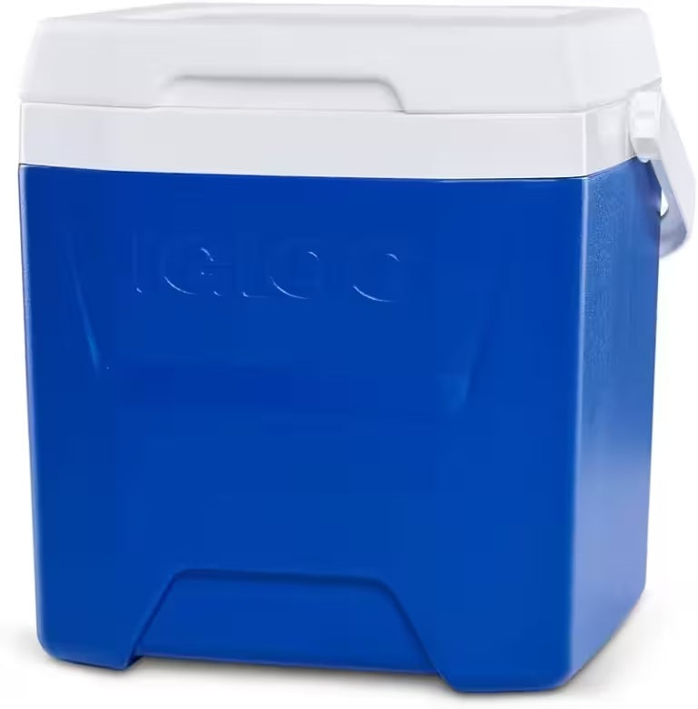 IGLOO LAGUNA 12 Cooler Box