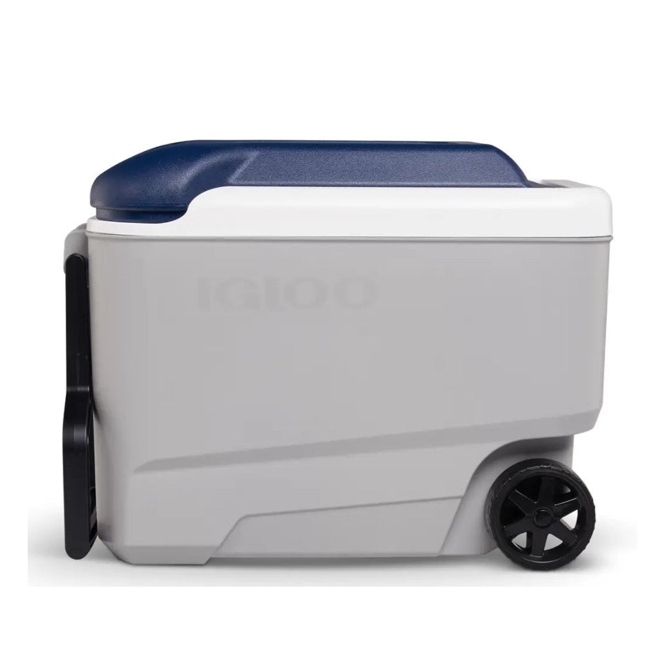 IGLOO Maxcold 40 Roller | 40 Quarts | 38 Liters | 56 Cans