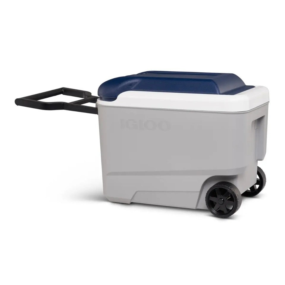IGLOO Maxcold 40 Roller | 40 Quarts | 38 Liters | 56 Cans