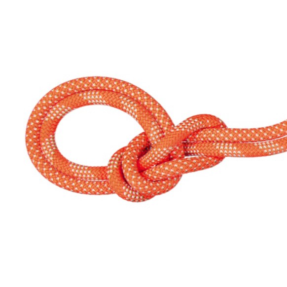 Mammut 9.8 Crag Classic Rope