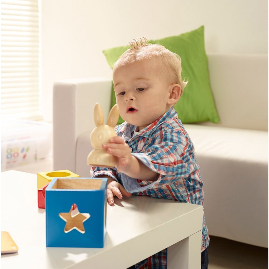 SMART GAMES BUNNY BOO