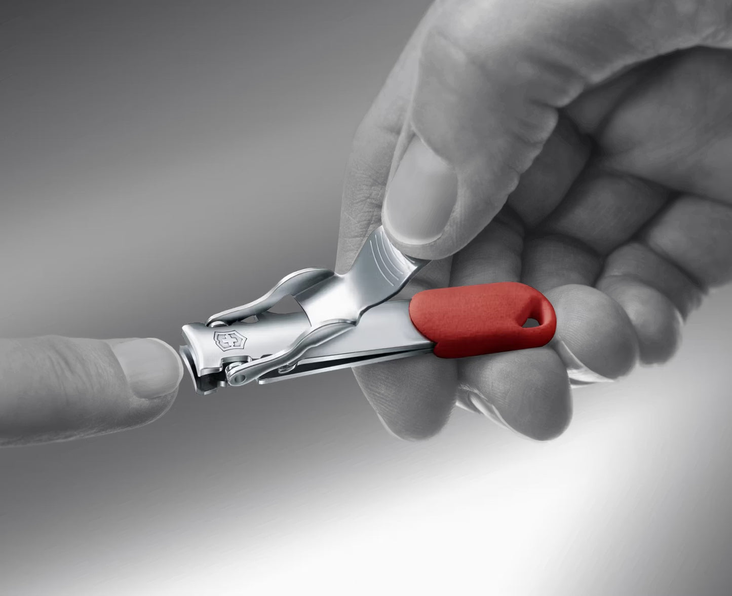 Victorinox Nail Clipper | Multi-tool