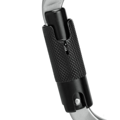 MAMMUT Classic HMS Twistlock Plus Carabiner