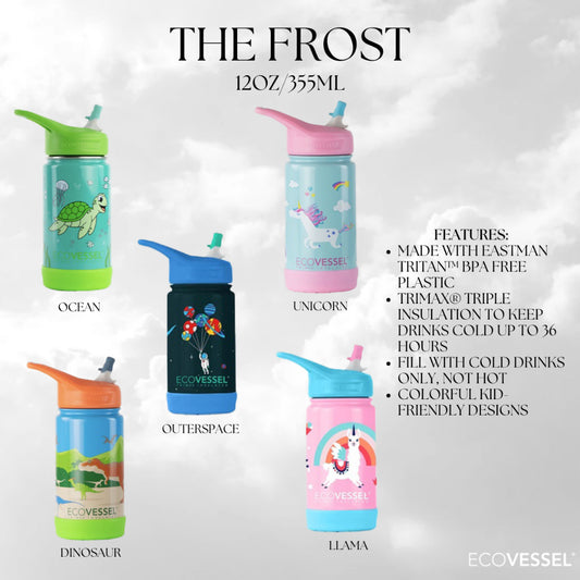ECOVESSEL THE FROST - Insulated Stainless Steel Kids Water Bottle With Straw - 12 oz