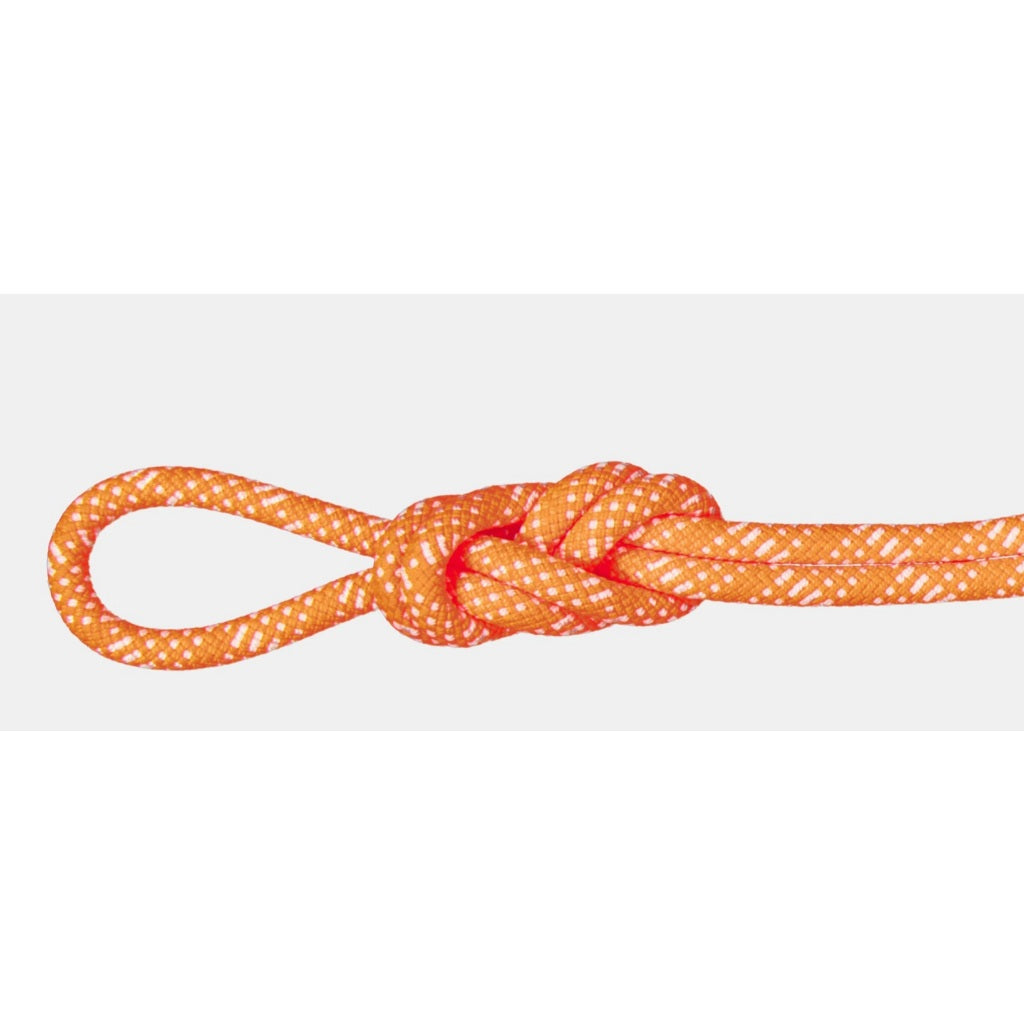 MAMMUT 10.1 Gym Station Classic Rope 200m